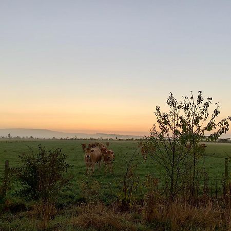 Parcay-sur-Vienne La Gouronerie Bed & Breakfast エクステリア 写真