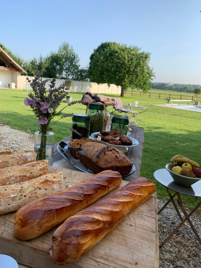 Parcay-sur-Vienne La Gouronerie Bed & Breakfast エクステリア 写真